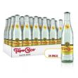 Imagen de Agua Mineral Topo Chico 24/355ml Vidrio